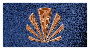 DSC700 602 CP SH BL Copper Sunburst Shimmer Blue Background